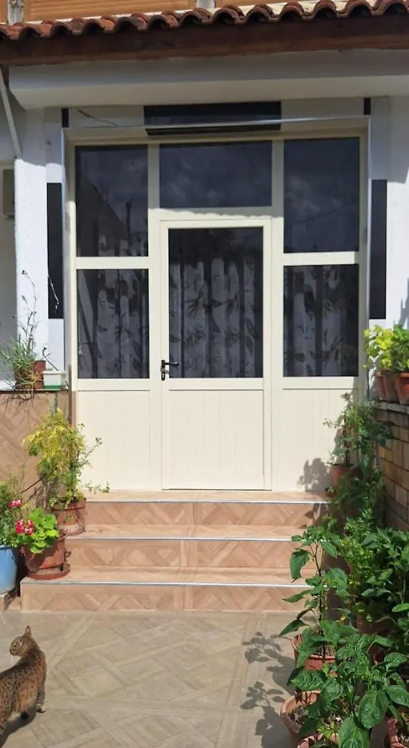 Berat Feeling Guesthouse Guest house